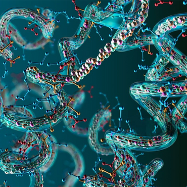 AMINO ACIDS