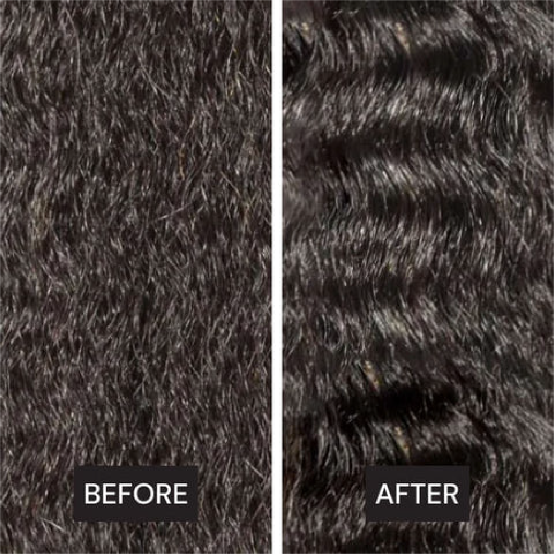 CHARCOAL DETOX SHAMPOO