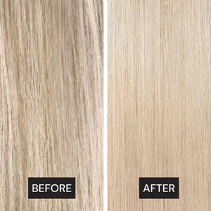 PH Perfector Zeolite Shampoo